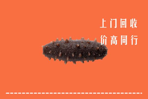 淮北高价回收海参